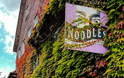 noodles restaurant vellberg_3