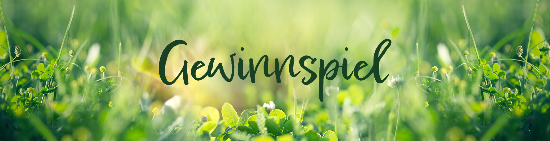 header gewinnspiel
